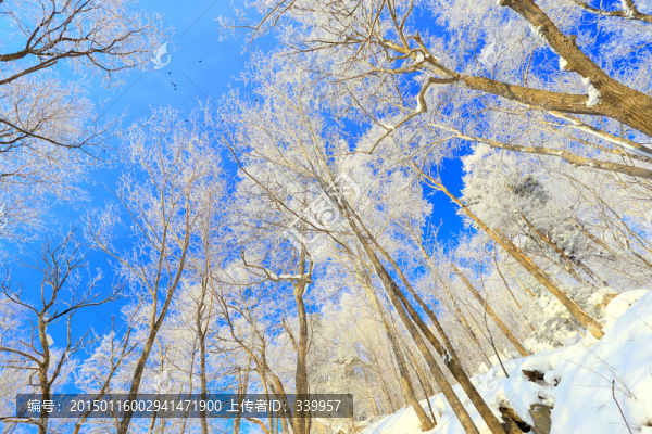 冰雪旅游