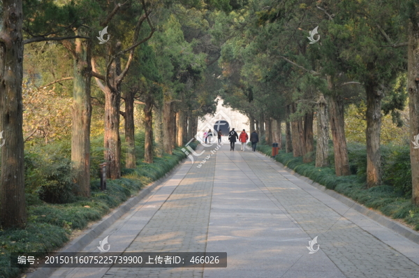 明孝陵景區(qū)