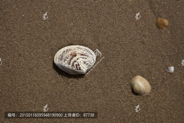 北戴河