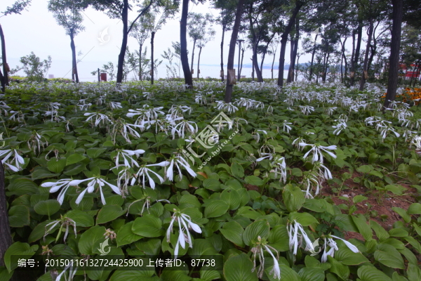 北戴河