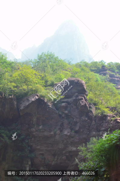 迷人景色