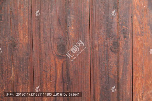 杉木紋理