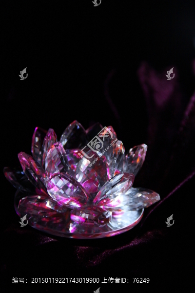 水晶蓮花靜物攝影