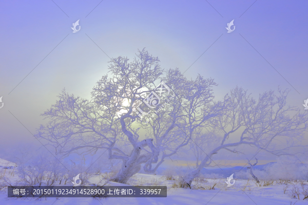 中國雪鄉(xiāng)