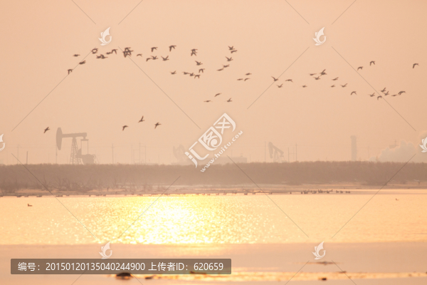 濕地油田夕陽