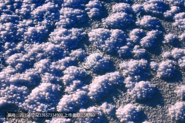 雪野冰花