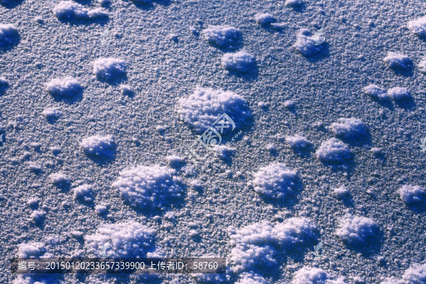 雪野冰花