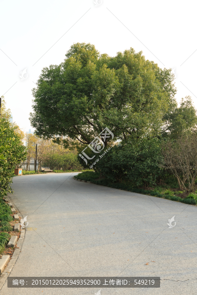 公園小路