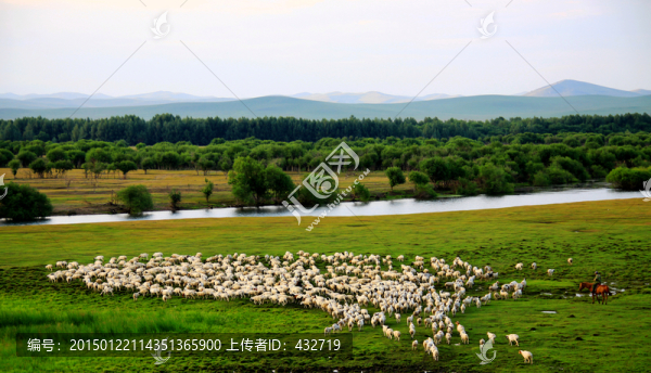 夏季的大興安嶺濕地牧場