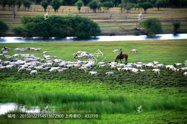 大興安嶺夏季濕地牧場