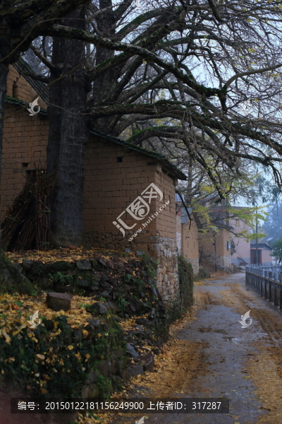 鄉(xiāng)間小路