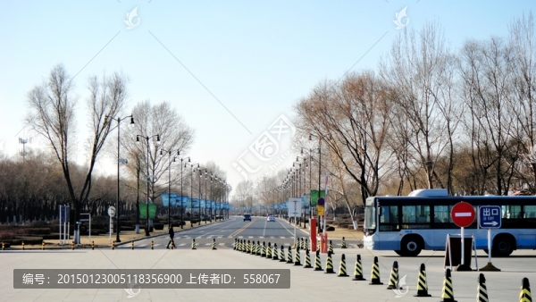 哈爾濱太陽(yáng)島