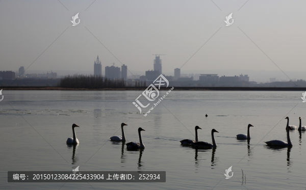 天鵝湖