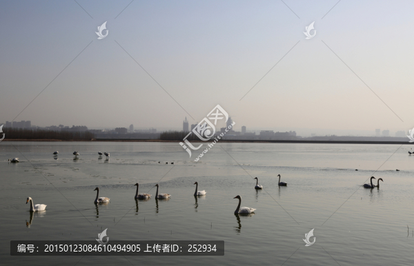 天鵝湖