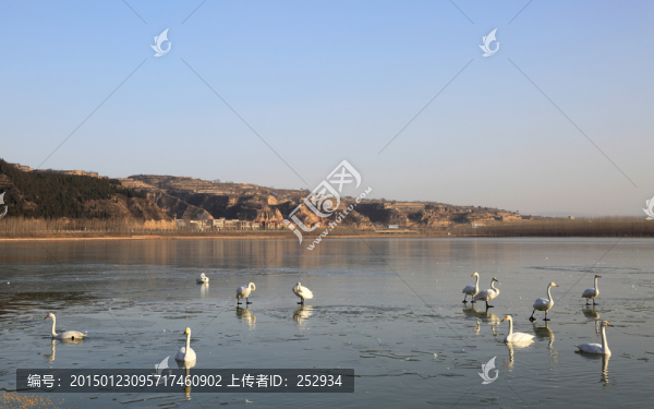 天鵝湖