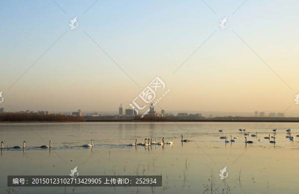 天鵝湖