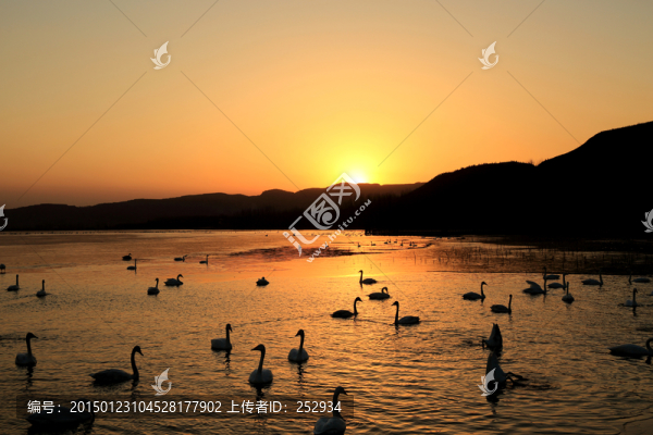 天鵝湖