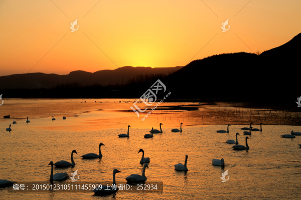 天鵝湖風(fēng)光