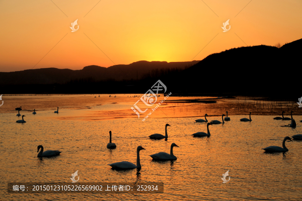 天鵝湖晚霞