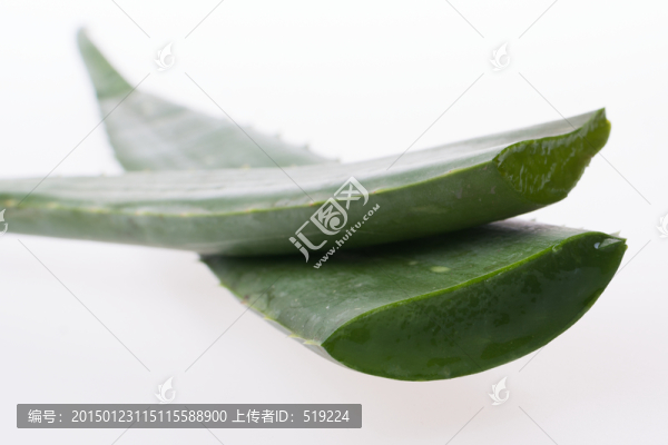 蘆薈