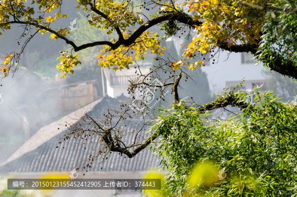 長(zhǎng)溪秋色