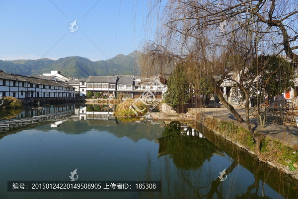 蒼坡村