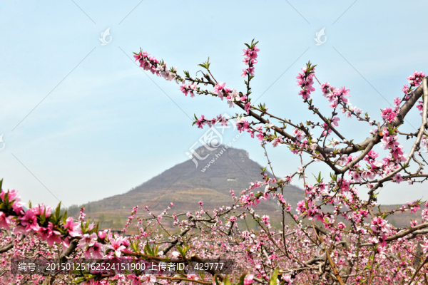 桃花源