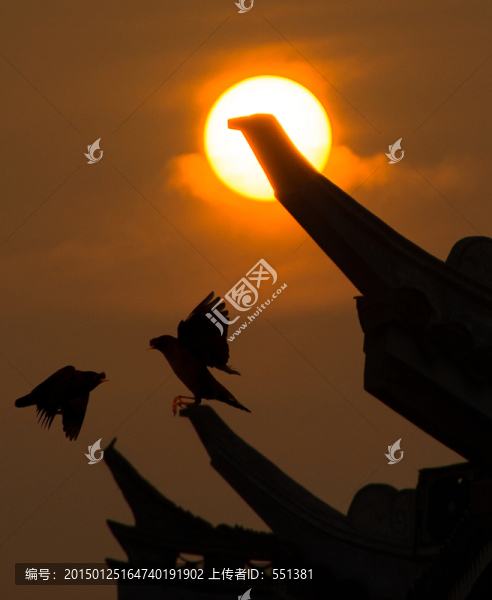 日落時(shí)分,鳥(niǎo)