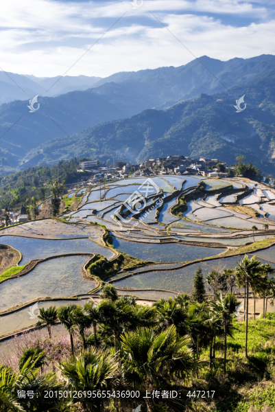 紅河甲寅梯田