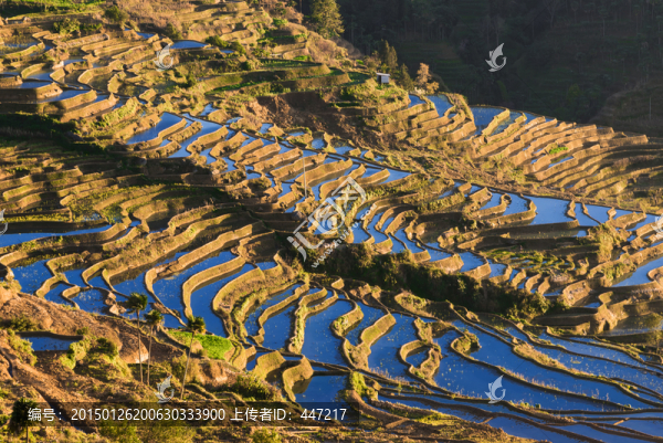 哀牢山紅河梯田