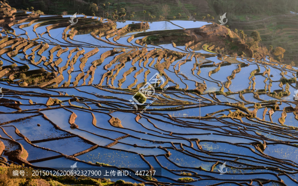 哀牢山紅河梯田