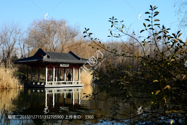 大明湖