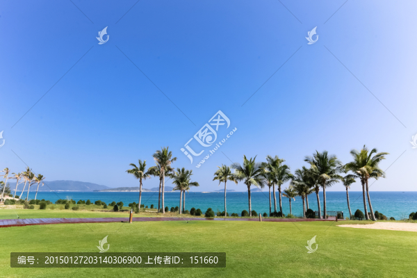 海邊草地