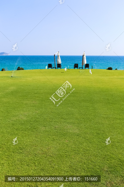 海邊草地