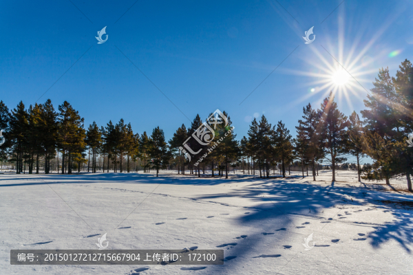 林海雪原