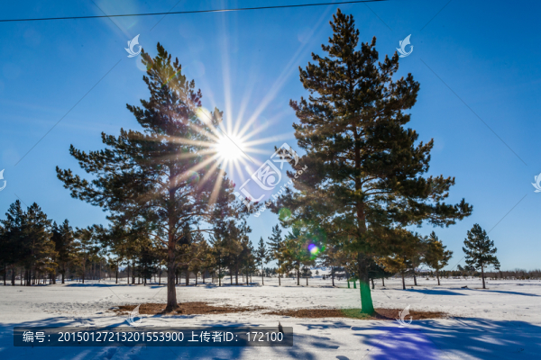 林海雪原