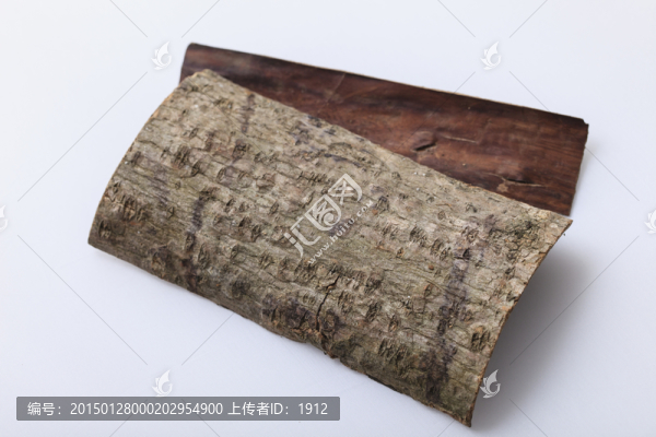 杜仲