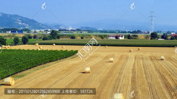 意大利麥田風(fēng)光