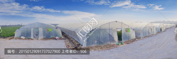 現(xiàn)代農(nóng)業(yè)基地,蔬菜基地,種菜