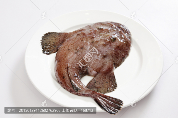 鮟鱇