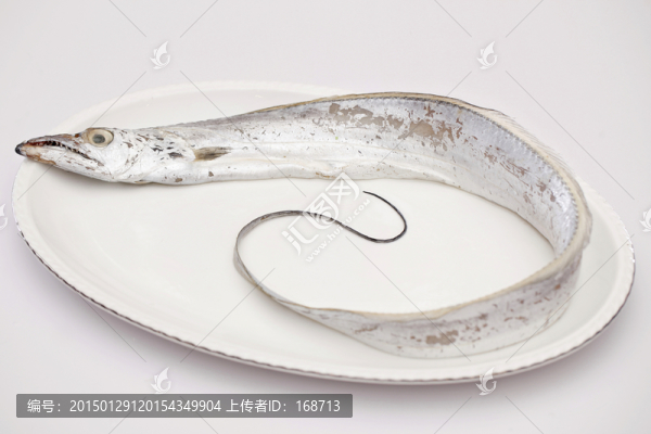 刀魚