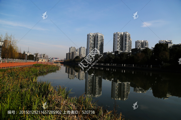 城市,街道,綠化