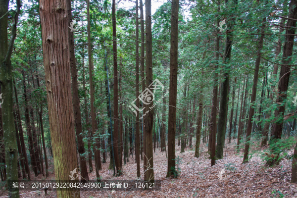 廬山風光