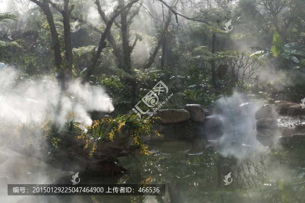 南寧青秀山蘭園霧景