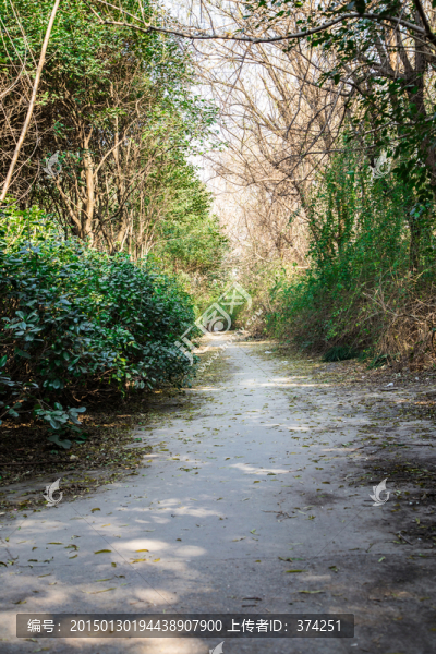 小路
