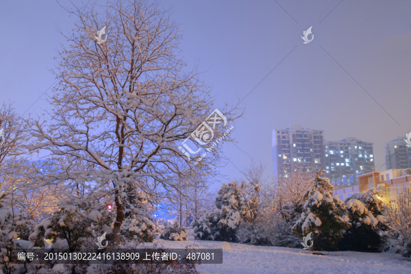 城市雪景