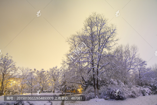 城市雪景
