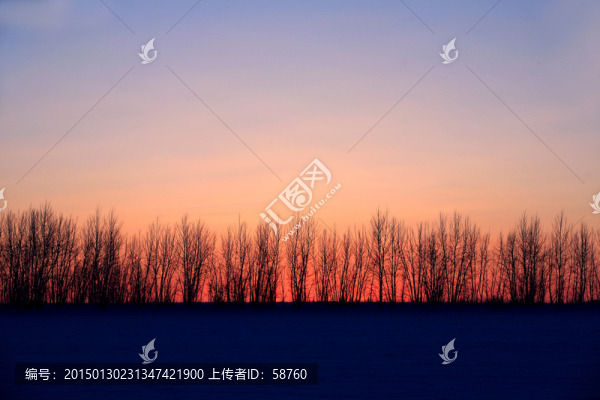夕陽小樹林