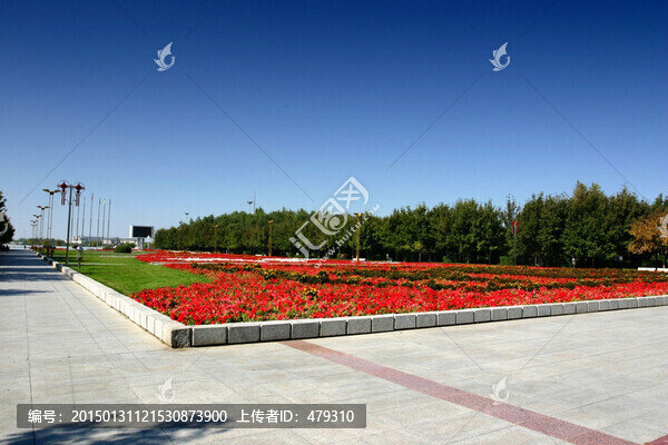 紅花,廣場(chǎng)