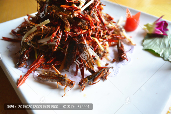 干煸蝗蟲
